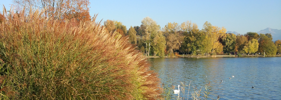 Herbststimmung-Lido-980-350